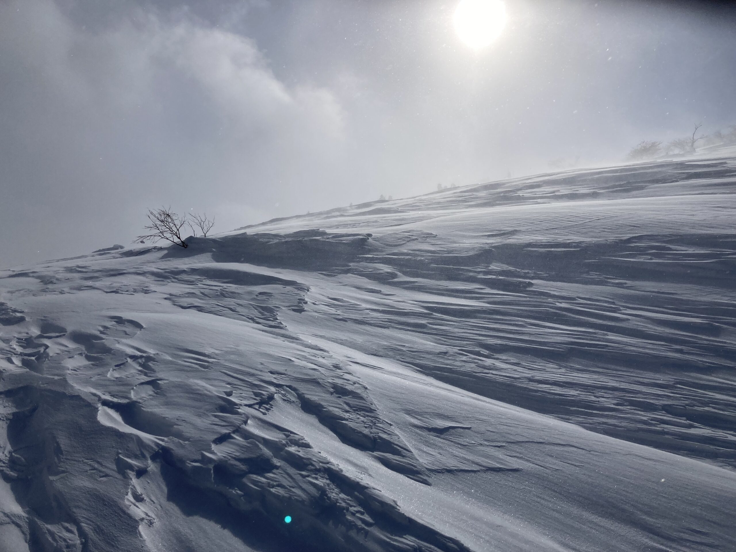 雪崩講習会　2025年度